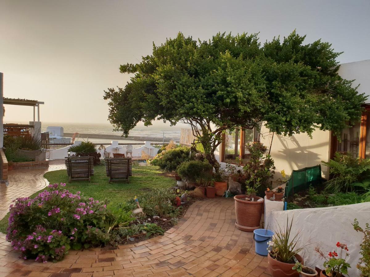 Saxon alojamiento Gansbaai Exterior foto